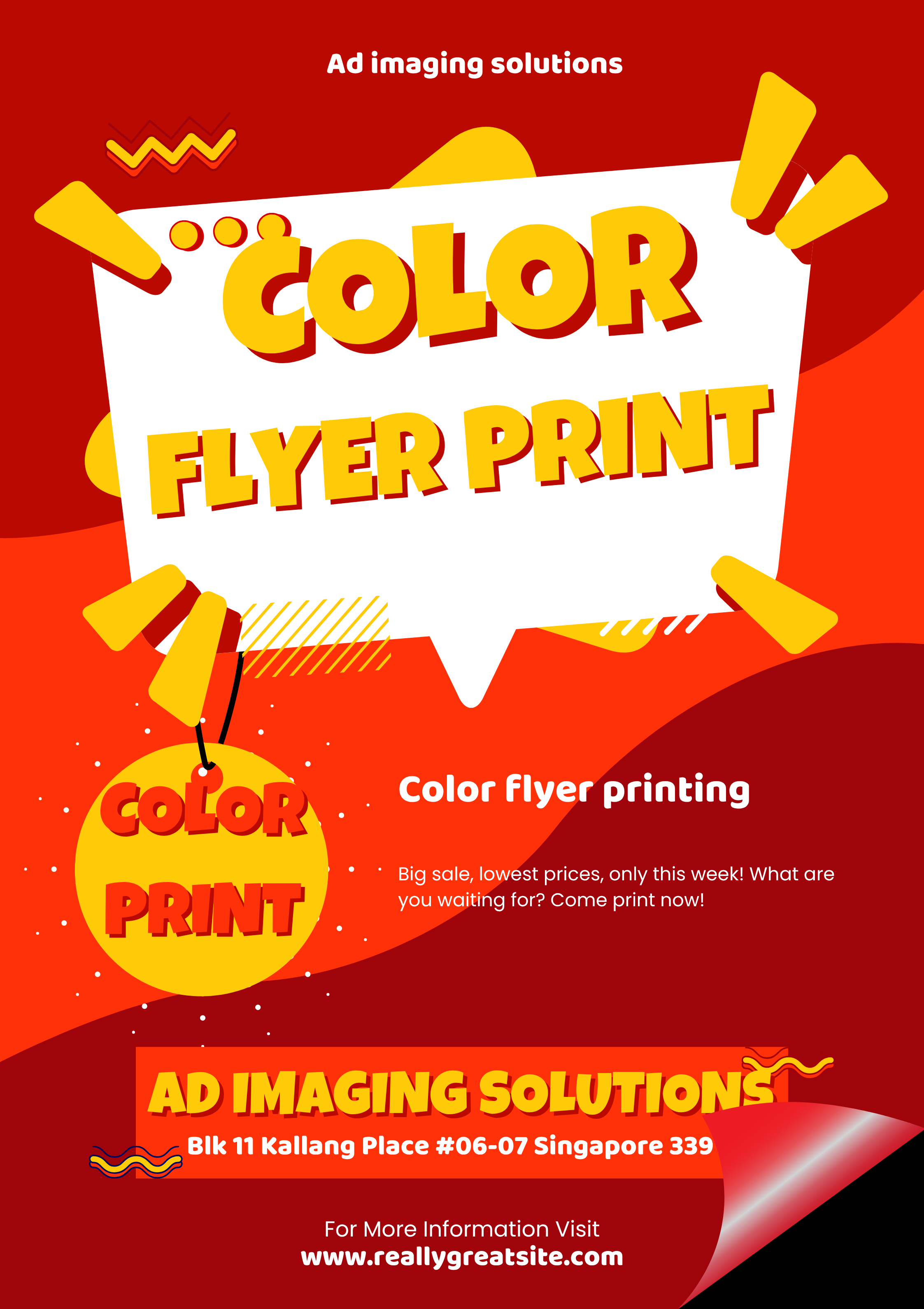 Flyer Color print--10pcs