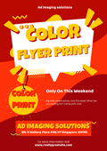 Flyer Color print--10pcs